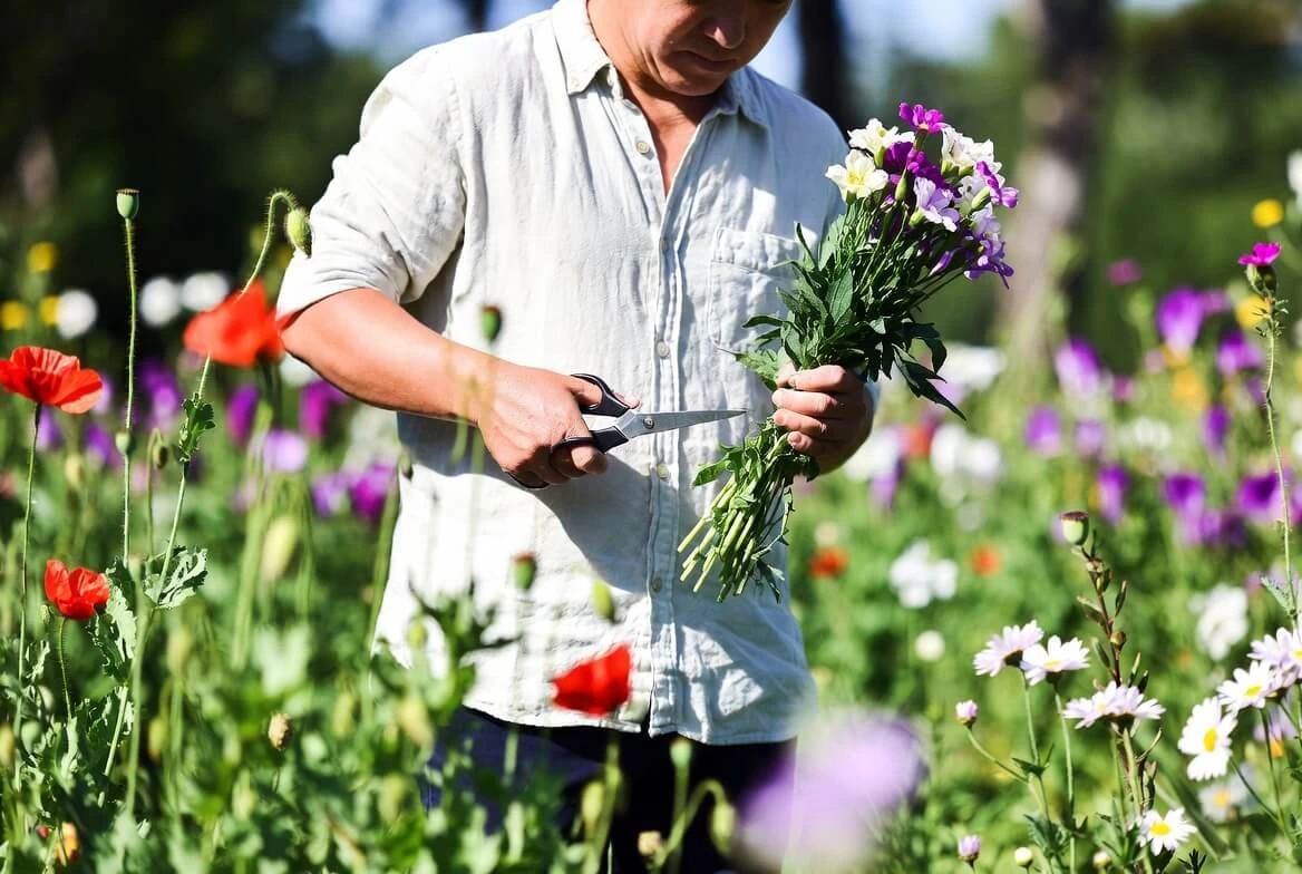 Cut Flower Garden