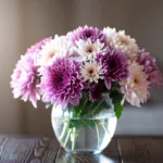 Chrysanthemum Cut Flowers