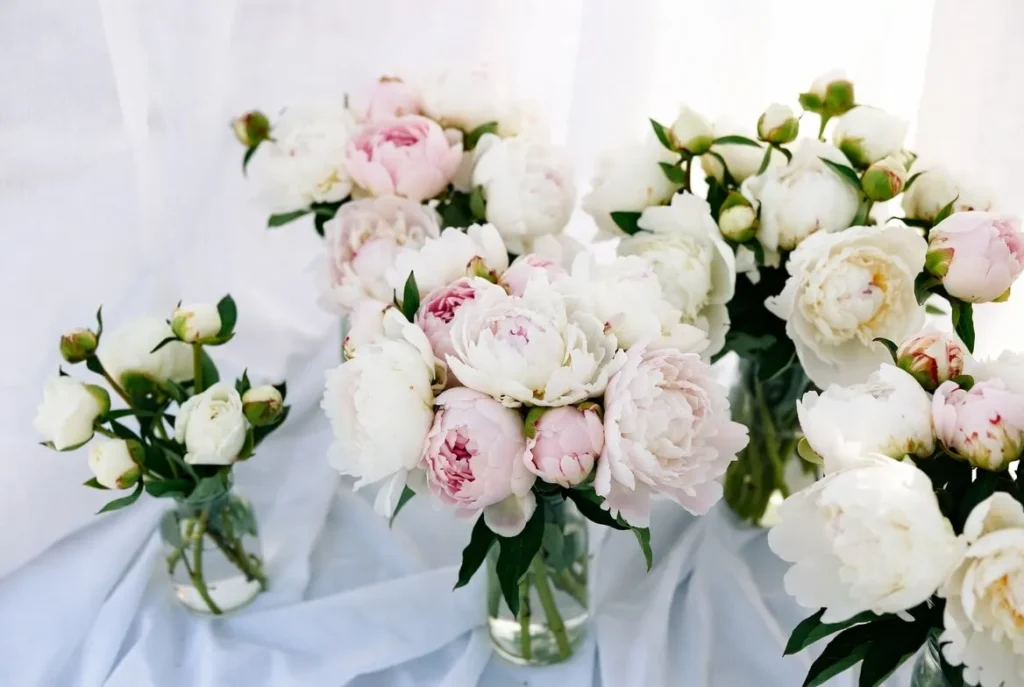 Wedding Peonies Bouquets